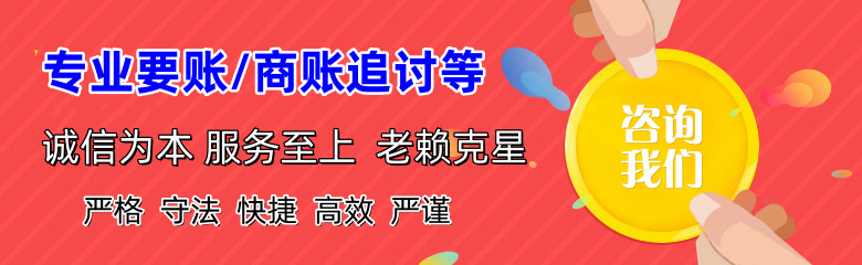 新野追账公司